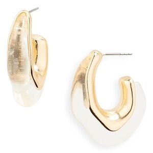 Stephan & Co. Resin Hoop Earrings